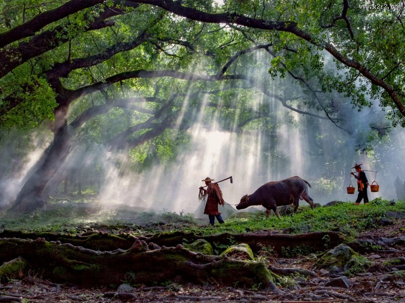 福建杨家溪晨雾风景图片大全