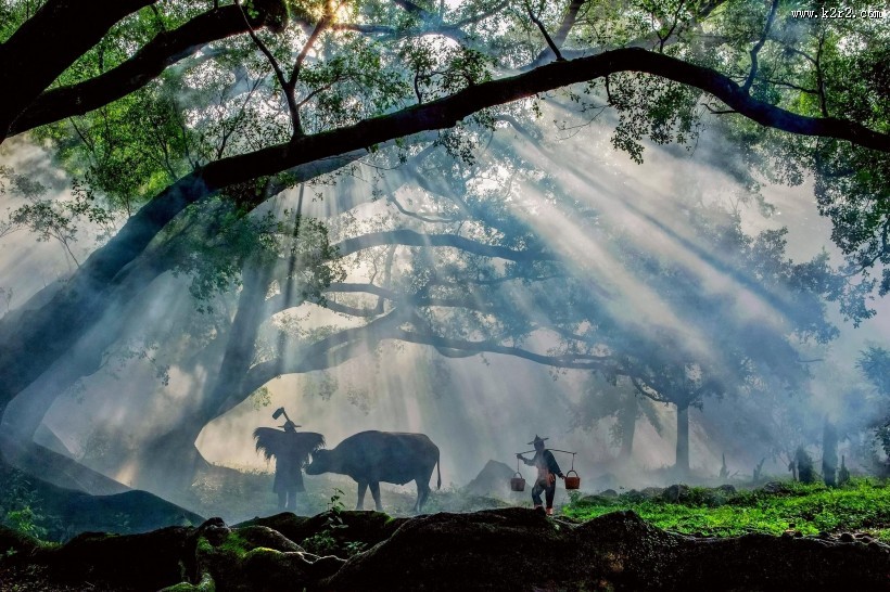 福建杨家溪晨雾风景图片大全
