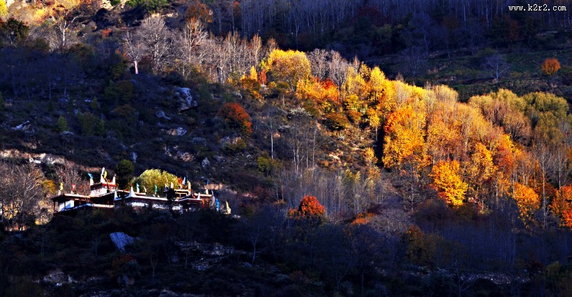 四川川西巴丹藏寨风景图片大全