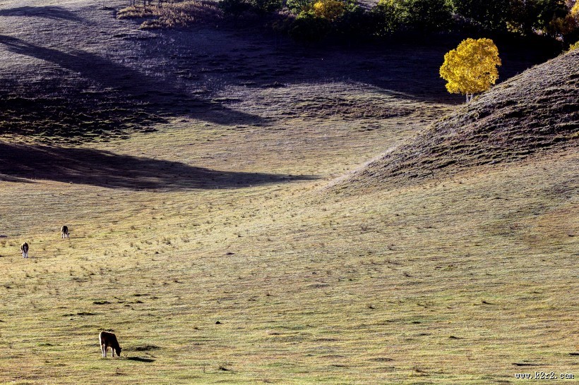 河北坝上草原风景图片