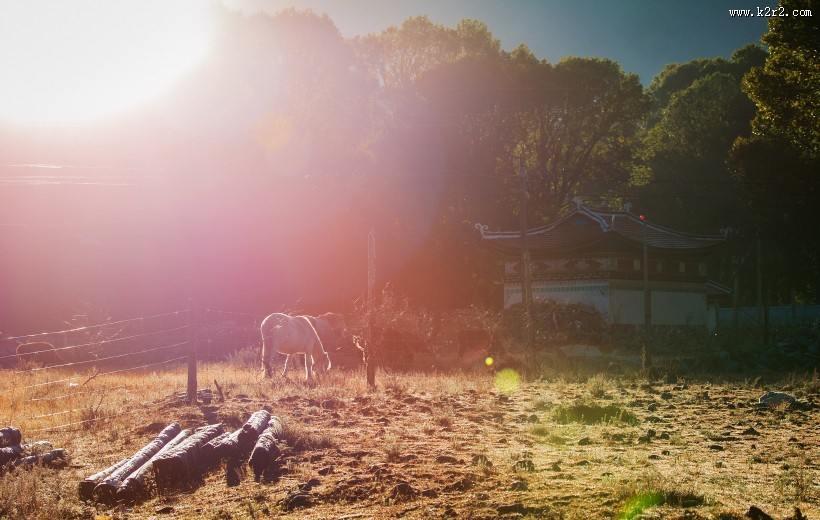 四川新都桥风景图片大全