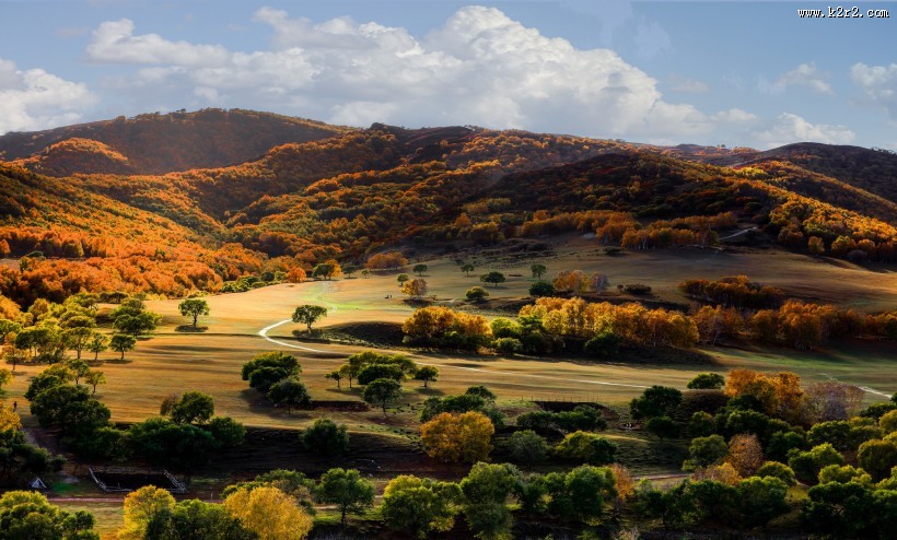 河北坝上秋色风景图片