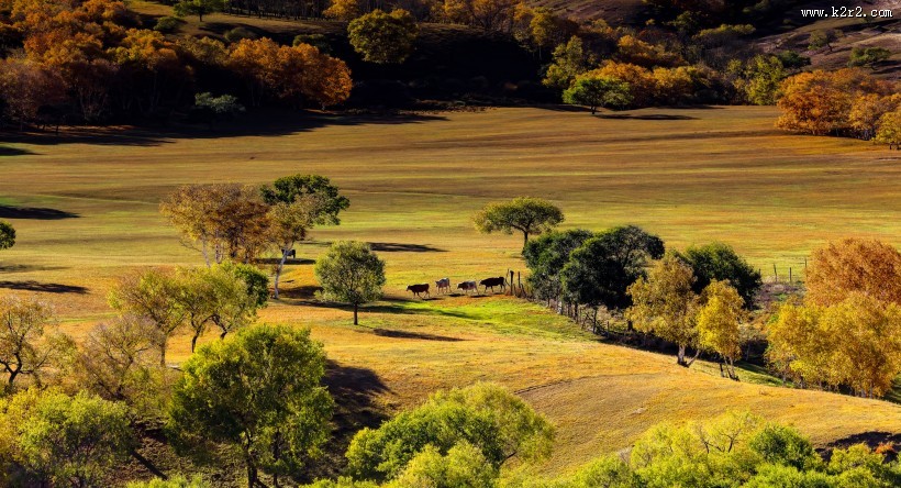 河北坝上秋色风景图片