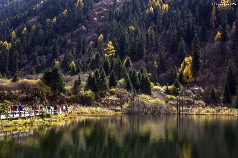 四川达古冰山风景图片大全