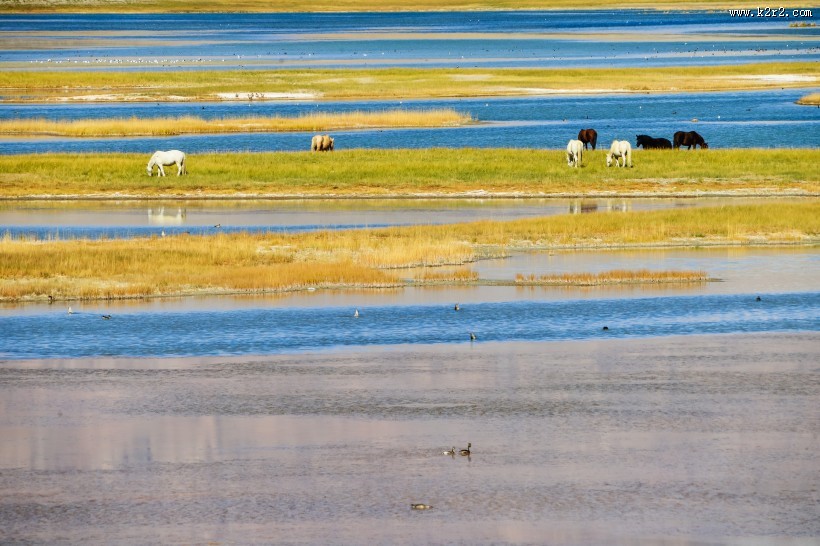 西藏阿里风景图片