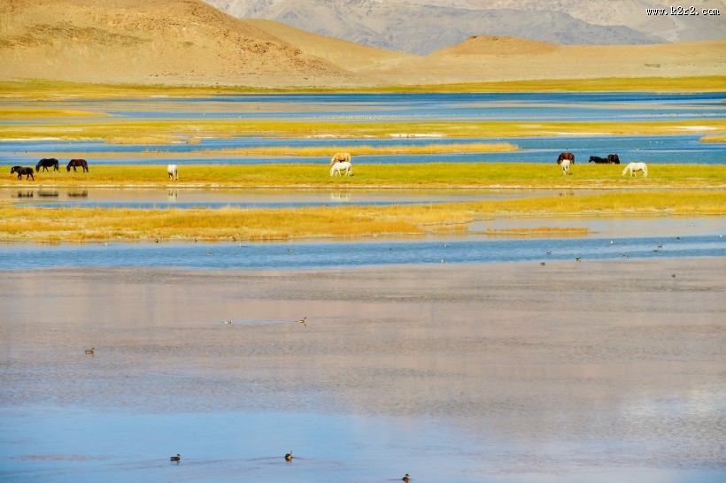 西藏阿里风景图片