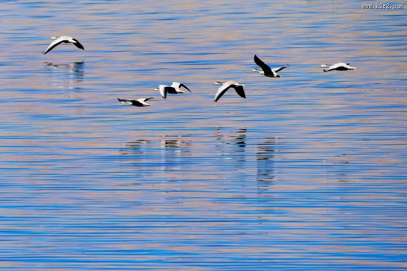 西藏阿里风景图片
