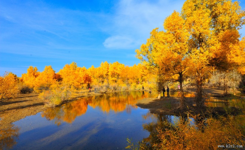内蒙古额济纳胡杨林风景图片大全