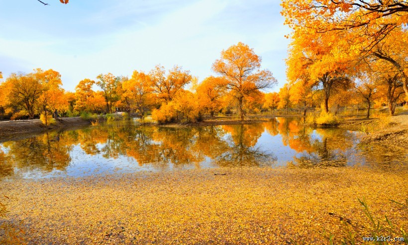 内蒙古额济纳胡杨林风景图片大全