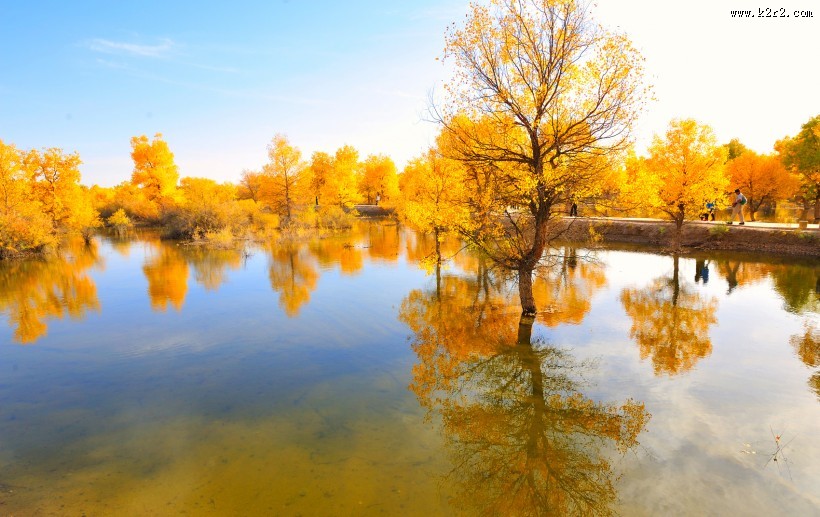内蒙古额济纳胡杨林风景图片大全