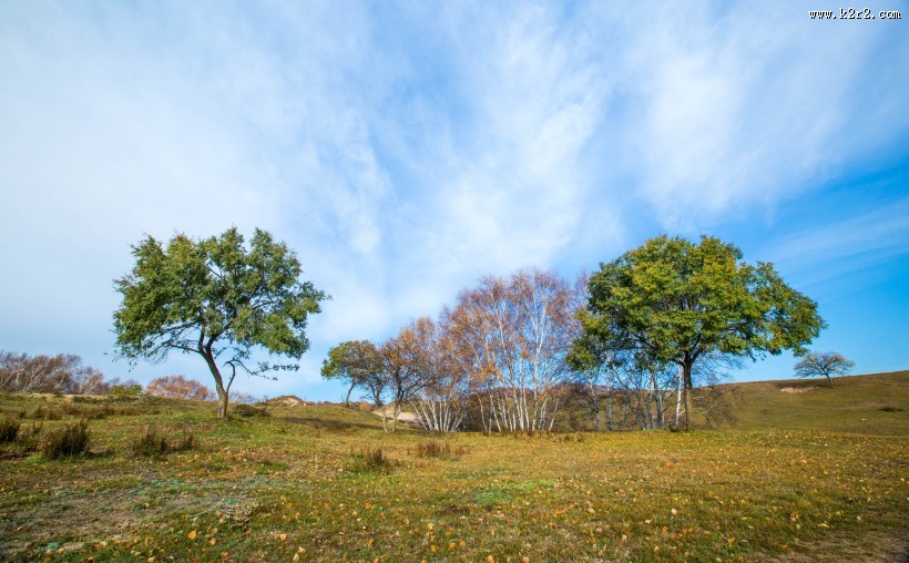 内蒙古乌兰布统秋色图片