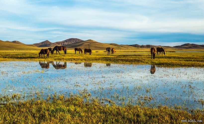 内蒙古乌兰布统秋色图片
