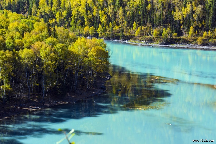 新疆喀纳斯卧龙湾风景图片大全