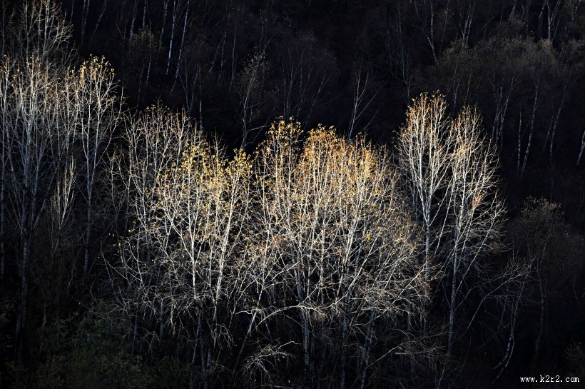 醉美川西秋色风景图片