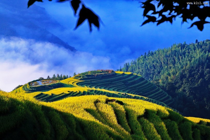 广西龙脊梯田风景图片大全