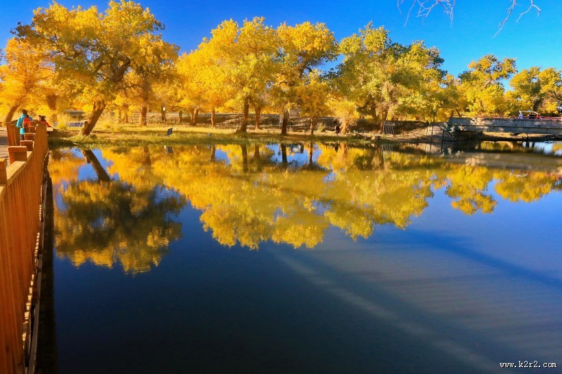 内蒙古额济纳胡杨林风景图片