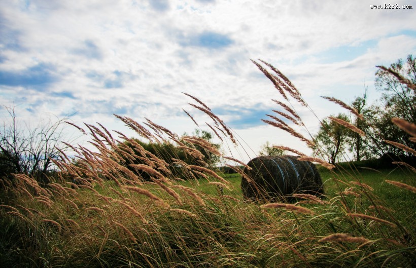 内蒙古呼伦贝尔风景图片大全