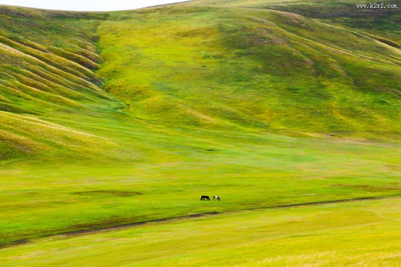 内蒙古呼伦贝尔草原风景图片