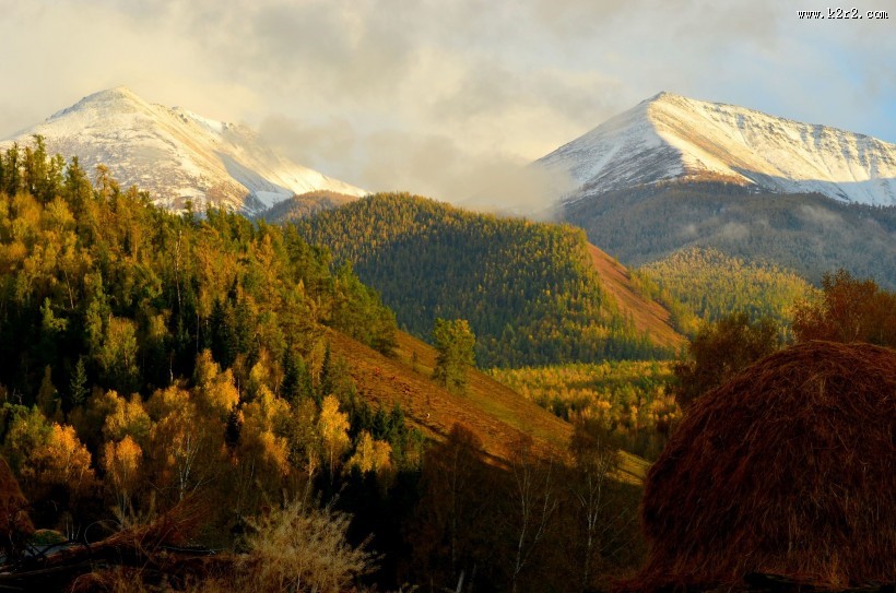 新疆白哈巴村风景图片