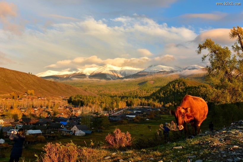 新疆白哈巴村风景图片