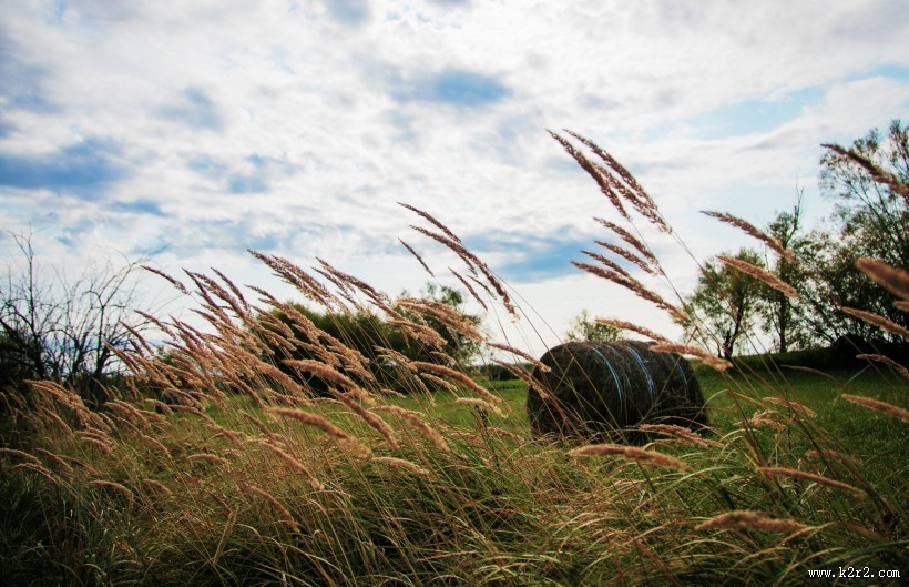 内蒙古呼伦贝尔风景图片大全