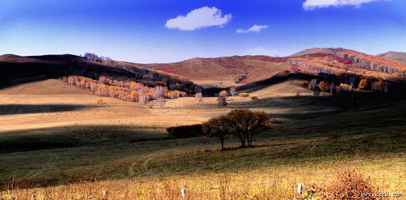 河北坝上风景图片大全