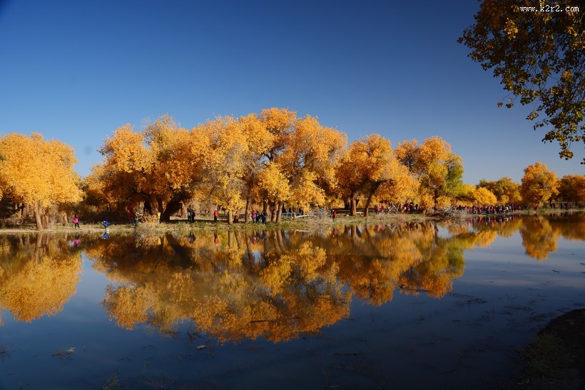 内蒙古额济纳胡杨林美丽风景图片大全