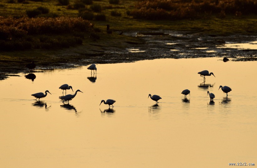 河北秦皇岛北戴河湿地风景桌面壁纸