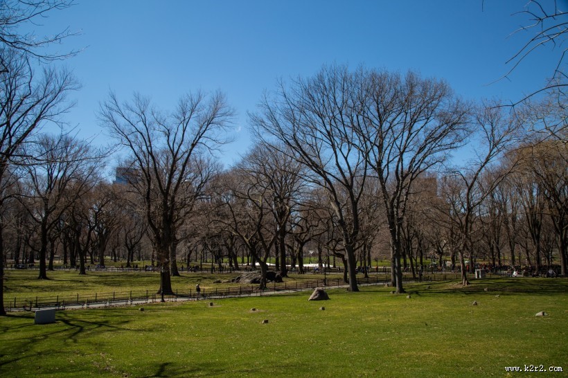 美国纽约中央公园风景图片