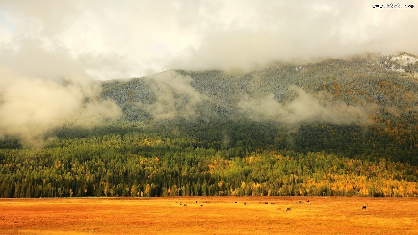 新疆喀纳斯鸭泽湖风景图片大全