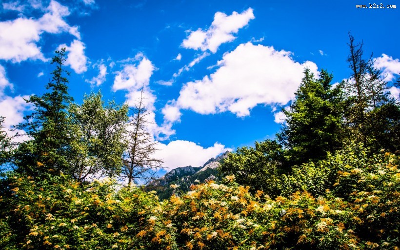 四川九寨沟风景图片大全