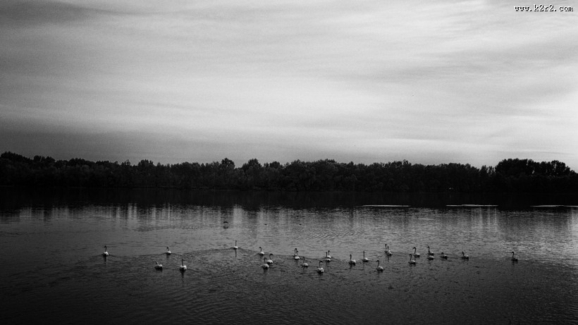 德国多瑙河日落风景图片