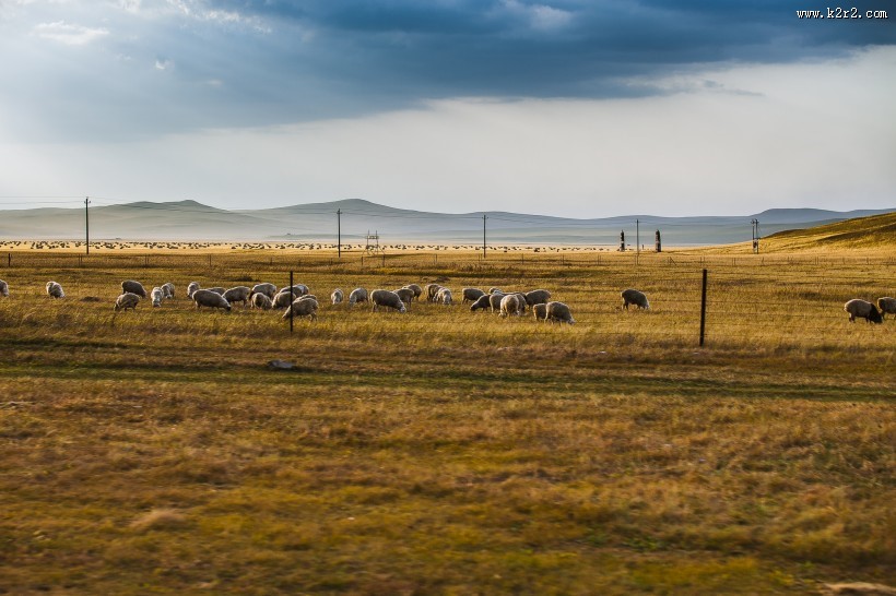 内蒙古呼伦贝尔草原秋天风景图片大全