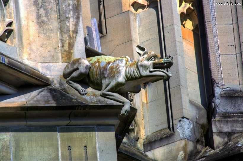 瑞士伯尔尼大教堂图片