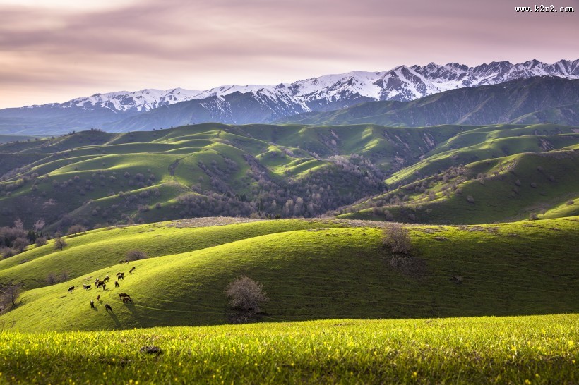 新疆大西沟风景图片大全
