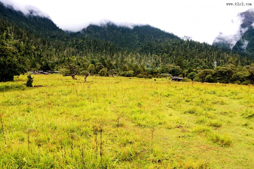 西藏林芝南伊沟风景图片大全