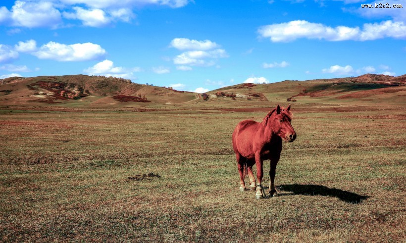 内蒙古多伦诺尔风景图片