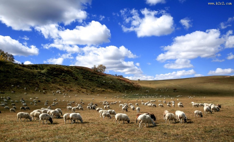 内蒙古多伦诺尔风景图片