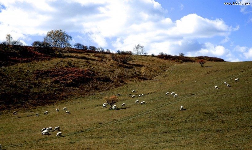 内蒙古多伦诺尔风景图片
