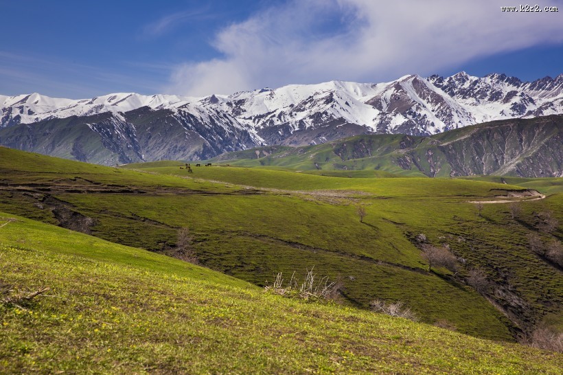 新疆大西沟风景图片