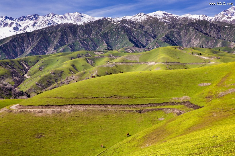 新疆大西沟风景图片