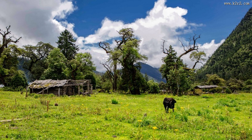 西藏南伊沟风景图片大全