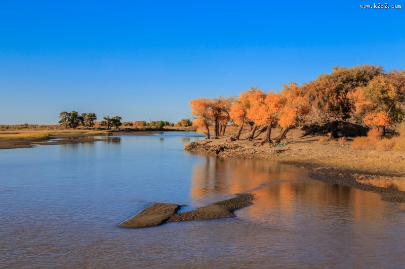 内蒙古额济纳胡杨林风景图片大全