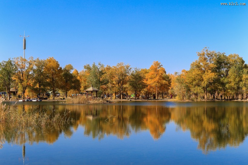 内蒙古额济纳胡杨林风景图片大全