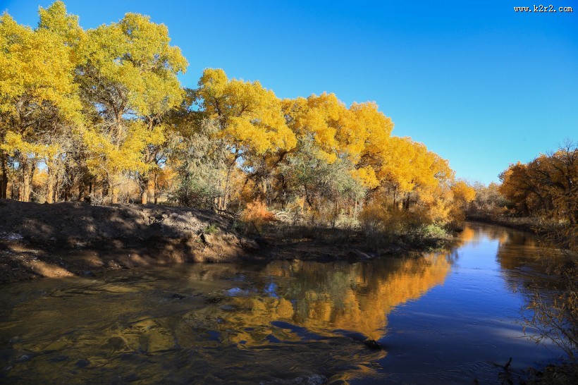 内蒙古额济纳胡杨林风景图片大全