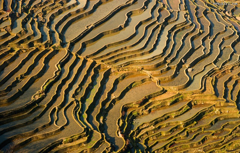 云南元阳梯田风景图片