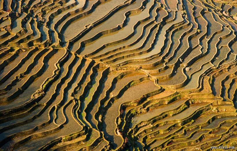 云南元阳梯田风景图片大全
