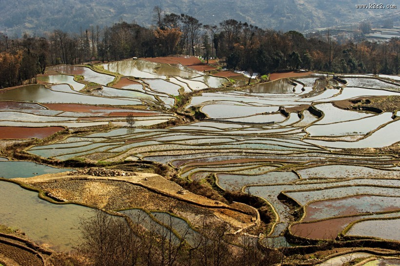 云南元阳梯田风景图片大全