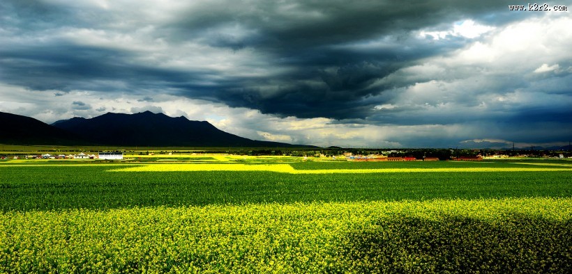 青海门源风景图片