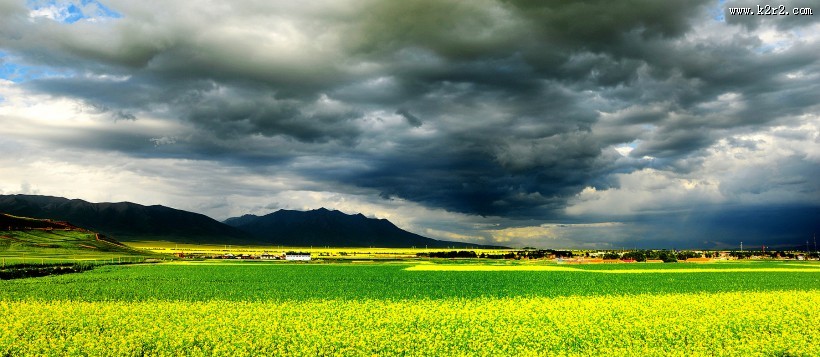 青海门源风景图片